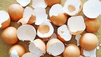 Kulit Jeruk - Terdengar mengejutkan, namun ternyata cangkang telur mengandung nutrisi makanan. Kandungan utama dari cangkang telur adalah kalsium karbonat, beberapa jenis kalsium lain, protein, serta mineral. Beberapa orang mengonsumsi cangkang telur dengan memadatkan dan menghancurkan cangkang telur hingga menjadi serbuk. Foto : iStock