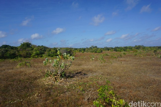 Kisah Misterius Pulau Paling Selatan Indonesia
