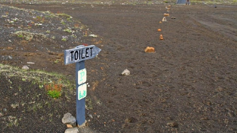 Islandia banyak menyediakan toilet di negaranya (iStock) Islandia banyak menyediakan toilet di negaranya (iStock)