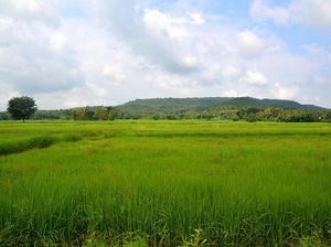 Kondisi Perekonomian Thailand, dari Pertanian hingga Pariwisata