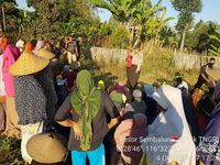 Konflik Penguasaan Hutan di Gunung Rinjani Memanas
