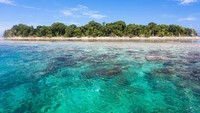 Pulau Sipadan merupakan rumah dari 3000 spesies ikan, berbagai pari dan ratusan terumbu karang. Selain itu juga merupakan populasi penyu hijau dan penyu sisik. (iStock)