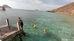 Momen Sehari Berlayar di Labuan Bajo, Epik!