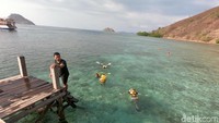 Seperti apa dunia bawah laut di Pantai Manjarite? Bisa dibilang bawah lautnya tak terlalu bagus. Tapi, untuk spot snorkeling amat menyenangkan karena arus di sini tak terlalu deras dan ombak yang juga bersahabat (Ahmad Masaul Khoiri/detikcom)