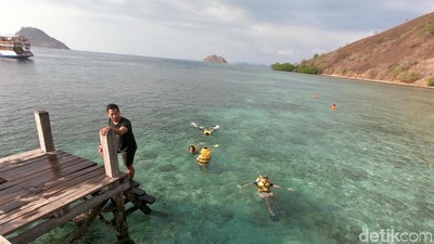Momen Sehari Berlayar di Labuan Bajo, Epik!
