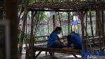 Menikmati Rindangnya Wisata Hutan Bambu