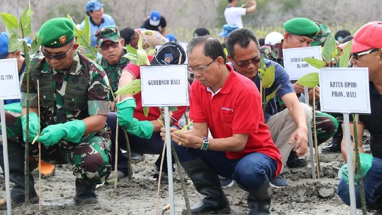 Kawasan Eks Reklamasi Pelindo di Bali Akan Dijadikan Taman Hutan Kota Kawasan Eks Reklamasi Pelindo di Bali Akan Dijadikan Taman Hutan Kota