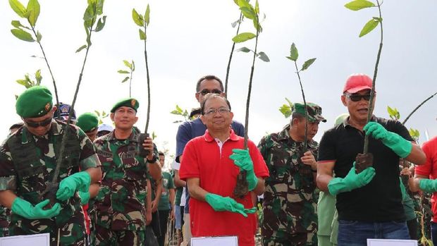 Kawasan Eks Reklamasi Pelindo di Bali akan Dijadikan Taman Hutan Kota