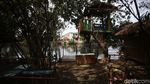 Menikmati Rindangnya Wisata Hutan Bambu