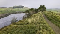 Northumberland National Park, suatu taman nasional yang dapat ditempuh sekitar 30 menit dari pusat Kota Newcastle. Lanskap perbukitannya sungguh indah! (iStock)