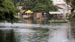 Menikmati Rindangnya Wisata Hutan Bambu