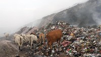Sejak kebakaran waktu itu, api di TPA Putri Cempo memang kerap muncul kembali meski telah dipadamkan. Asap pun sering mengepul dan terbawa angin.