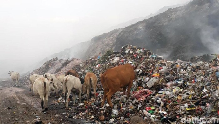 Asap sampah dari TPA Putri Cempo, Solo, masih mengepul sejak kebakaran beberapa waktu lalu. Akibatnya, sejumlah warga Solo dan Karanganyar terpaksa mengungsi.
