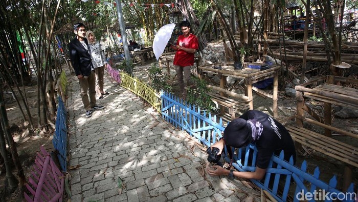 Menikmati Rindangnya Wisata Hutan Bambu Foto 2