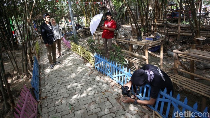 Menikmati Rindangnya Wisata Hutan Bambu Foto 2 Menikmati Rindangnya Wisata Hutan Bambu Foto 2