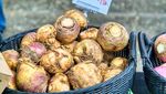 Rutabaga hingga Tomatillos, 10 Sayuran Unik dengan Nutrisi Super