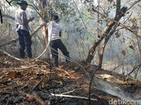 Antisipasi Karhutla, Petugas Taman Nasional Tambora Siaga 1 
