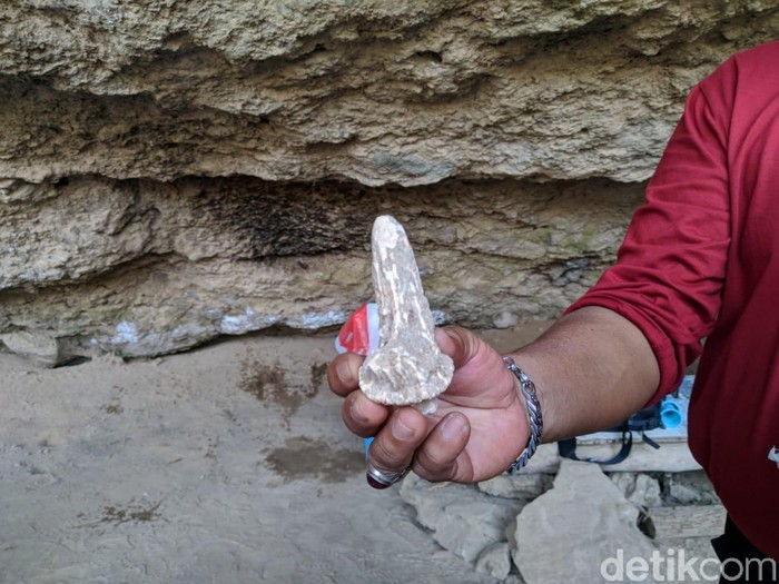 Gua Lawa, Manusia Purba di Ponorogo