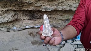 Perbedaan Pebble Culture, Bone Culture, dan Flake Culture serta Sejarahnya