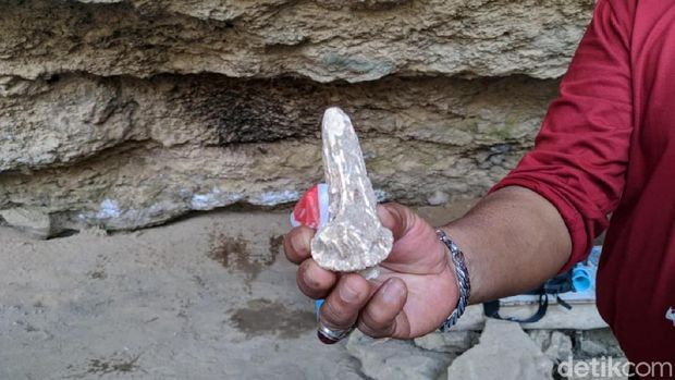 Ini Hasil Penelitian Jejak Manusia Purba di Gua Lawa Sampung
