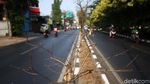 Kasihan! Pohon di Jalan Kolonel Sugiono Mengering