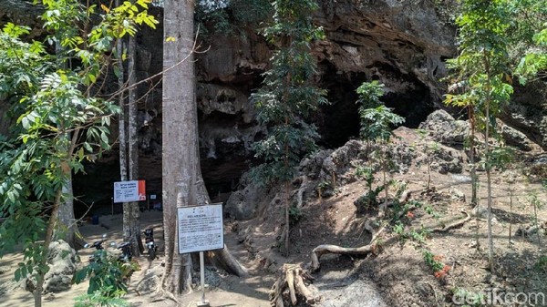 Tim Pusat Penelitian Arkeologi Nasional (Puslit Arkenas) menemukan tulang manusia purba dan perkakas batu di situs Gua Lawa. Gua ini terdapat di Desa Sampung, Ponorogo. (Charolin/detikcom)