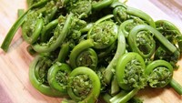Pakis muda berasal dari pakis yang belum matang dengan bentuk melengkung. Pakis memiliki nutrisi seperti provitamin A, vitamin C, dan mineral. Pigmen tumbuhan dari sayur pakis juga mengandung lutein dan beta karoten, yang memiliki efek antioksidan dan antiinflamasi. Konsumsinya dapat melindungi terhadap berbagai kondisi seperti kanker dan penyakit mata tertentu. Di Indonesia sayur pakis ini dimasak menjadi rendang atau dimasak sebagai gulai Padang. Foto: iStock