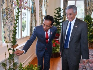 Jokowi ke Istana Singapura, Anggrek Iriana Jokowi Jadi Perhatian
