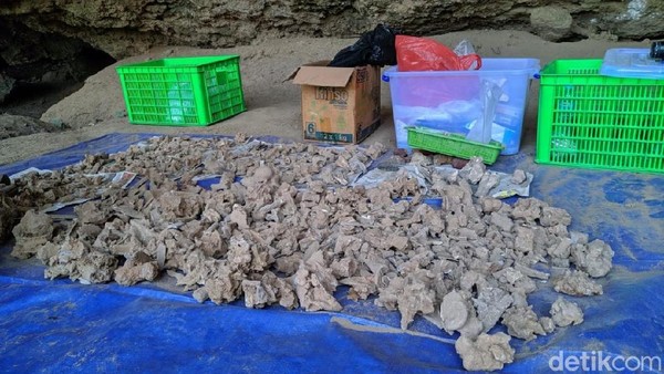 Alat-alat dari batu seperti ujung panah, flakes, batu pipisan serta kapak yang sudah diasah juga ditemukan di gua ini. Karena di gua tersebut banyak ditemukan peralatan dari tulang, disebut Sampung Bone Culture. (Charolin/detikcom) Alat-alat dari batu seperti ujung panah, flakes, batu pipisan serta kapak yang sudah diasah juga ditemukan di gua ini. Karena di gua tersebut banyak ditemukan peralatan dari tulang, disebut Sampung Bone Culture. (Charolin/detikcom)