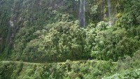 Setiap tahunnya, ada sekitar 200-300 orang yang jadi korban di jalan ini. Dari data tersebut Inter-American Development Bank menobatkan North Yungas Road sebagai jalanan paling berbahaya dunia tahun 1995. (iStock)