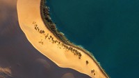 Apakah ini Al-Ahsa, oasis terbesar di dunia dari Arab Saudi? (Instagram/Visit Saudi)