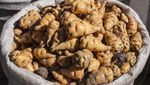 Rutabaga hingga Tomatillos, 10 Sayuran Unik dengan Nutrisi Super