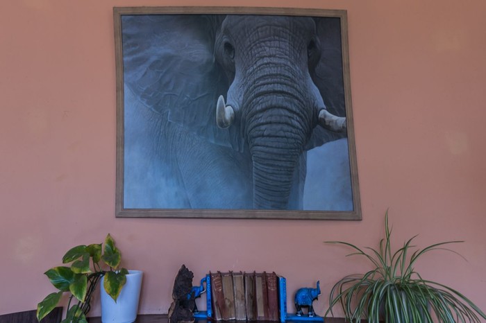 Elephant House
