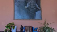Jadi jangan lupa untuk mampir ke Elephant House, kafe yang bernuansa klasik dan tempat bertemunya para penggemar Harry Potter di dunia. Foto: Istimewa