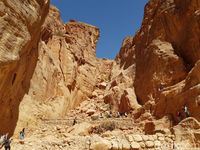 Melihat Lebih Dekat Petra, Kota yang Dipahat di Batu