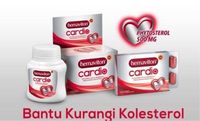 Sakit Jantung Bisa Diderita Siapa Saja, Ini Pencegahannya