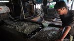 Meraup Untung Lewat Bisnis Daur Ulang Plastik