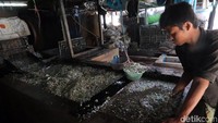 Dalam satu hari, para pekerja di pabrik ini mampu meproduksi 2 hingga 3 ton cacahan plastik.