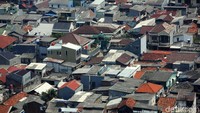 Penduduk DKI Jakarta pada 2019 diproyeksikan mencapai 10,5 juta jiwa. Angka tersebut meningkat 0,73% dari proyeksi jumlah penduduk pada 2018 yang sebanyak 10,4 juta jiwa.