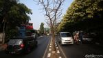 Kasihan! Pohon di Jalan Kolonel Sugiono Mengering