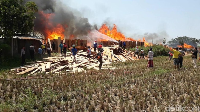 Ribuan Lembar Kayu Jati yang Dijemur Terbakar, 3 Damkar Dikerahkan Ribuan Lembar Kayu Jati yang Dijemur Terbakar, 3 Damkar Dikerahkan