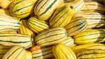 Rutabaga hingga Tomatillos, 10 Sayuran Unik dengan Nutrisi Super