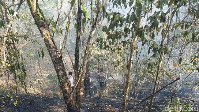 Ada Kebakaran Hutan, Jalur Pendakian Gunung Tambora Masih Aman