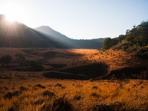 Hutan Tegal Panjang