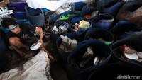 Seorang pekerja nampak sibuk memilah-milah sampah plastik yang telah dikumpulkan sebelum dicacah.