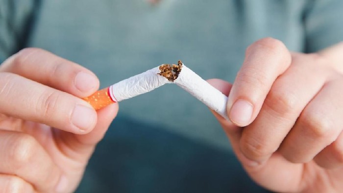 Ilustrasi Rokok Ilustrasi Rokok hilangkan bau rokok