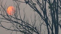 Kabut asap akibat kebakaran hutan dan lahan di tengah upaya pemadaman di wilayah itu terpantau bertambah pekat menyelimuti kawasan permukiman.