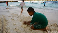 Pantai memang menjadi arena bermain anak-anak di Miangas yang hanya memiliki luas 3,15 kilometer persegi.