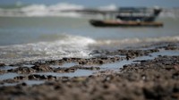 Perusahaan minyak yang dikelola negara Brasil, Petroleo Brasileiro SA atau Petrobas pun melakukan sebuah studi dan sejumlah tes terkait tumpahan minyak yang mencemari pantai tersebut. Stringer via Reuters.
