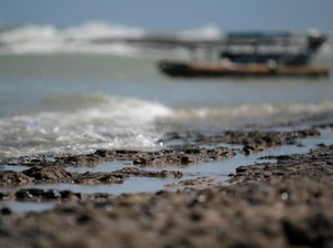 Kerugian Imbas Tumpahan Minyak Montara Ditaksir Triliunan Rupiah